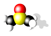 DMSO Molecule